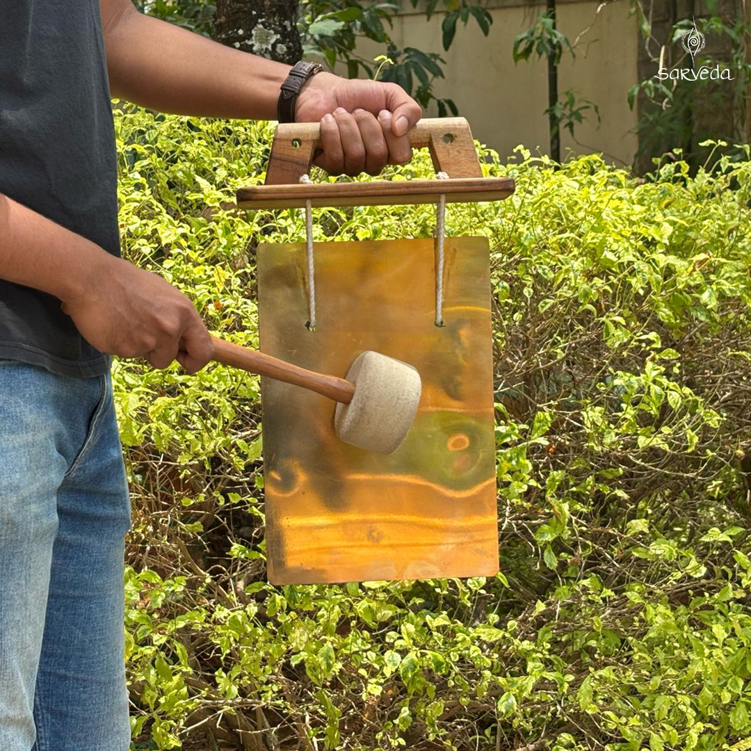 Gong Plates/Shruti Plates