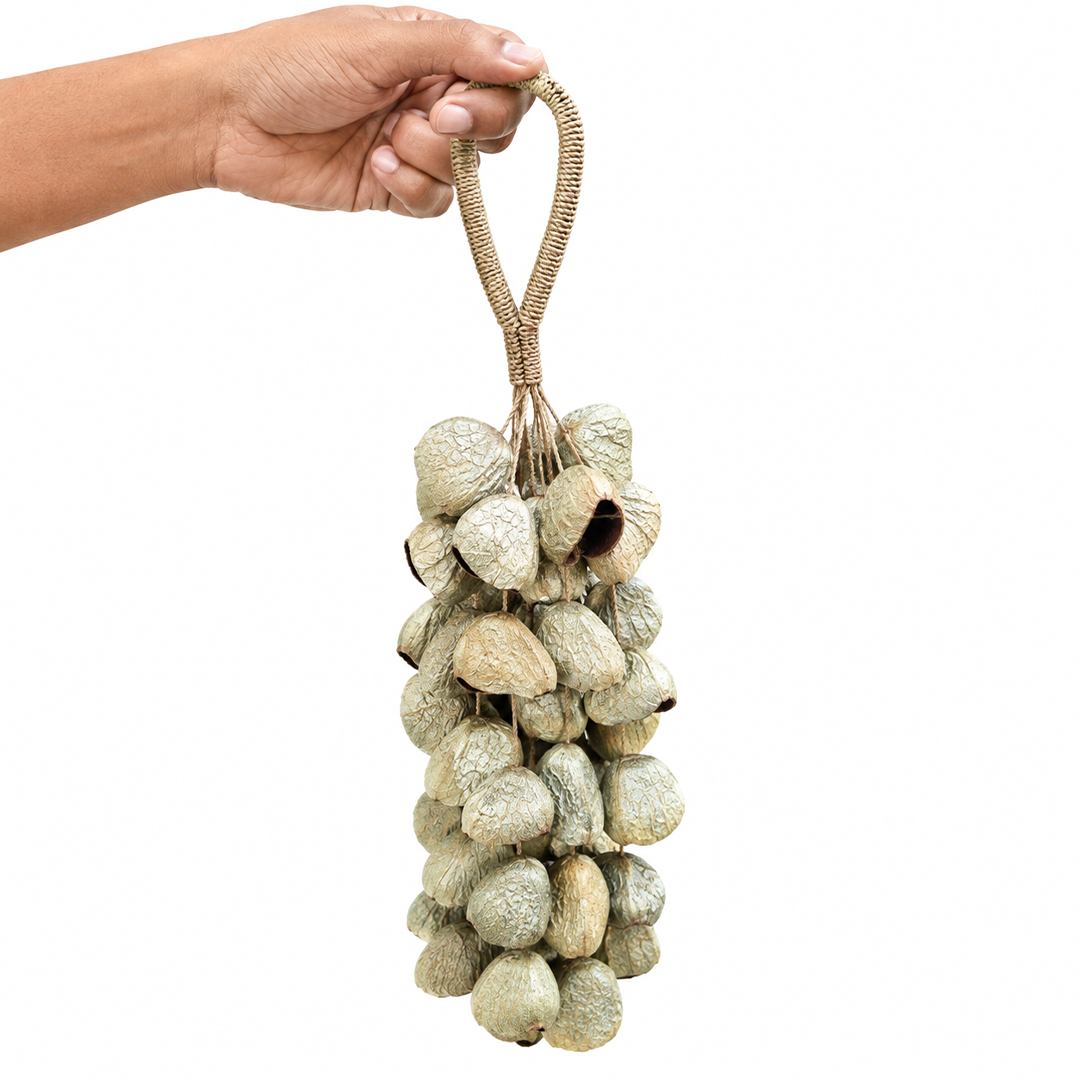 Pangi Seed Shell Rattle