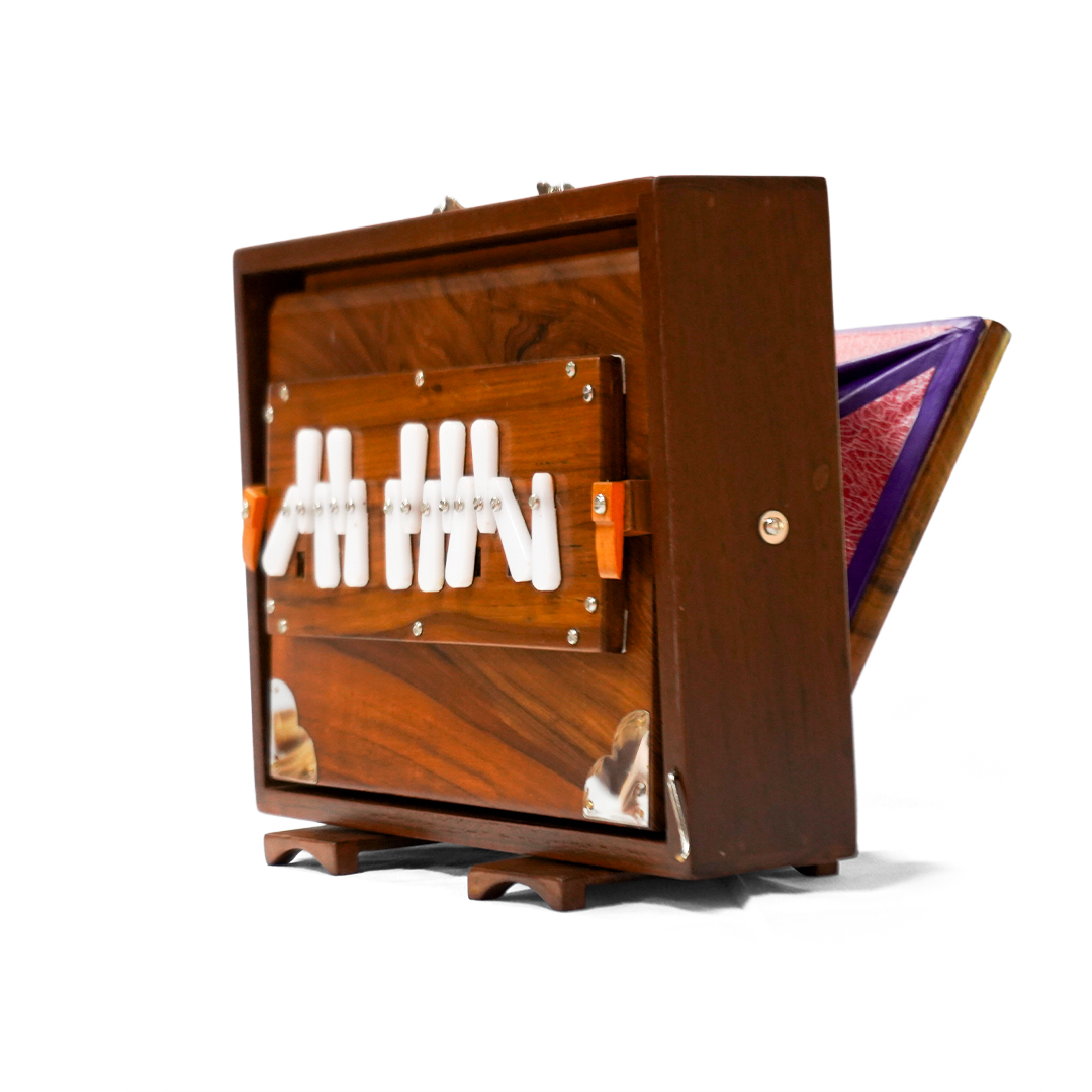 Travel Shruti Box 2