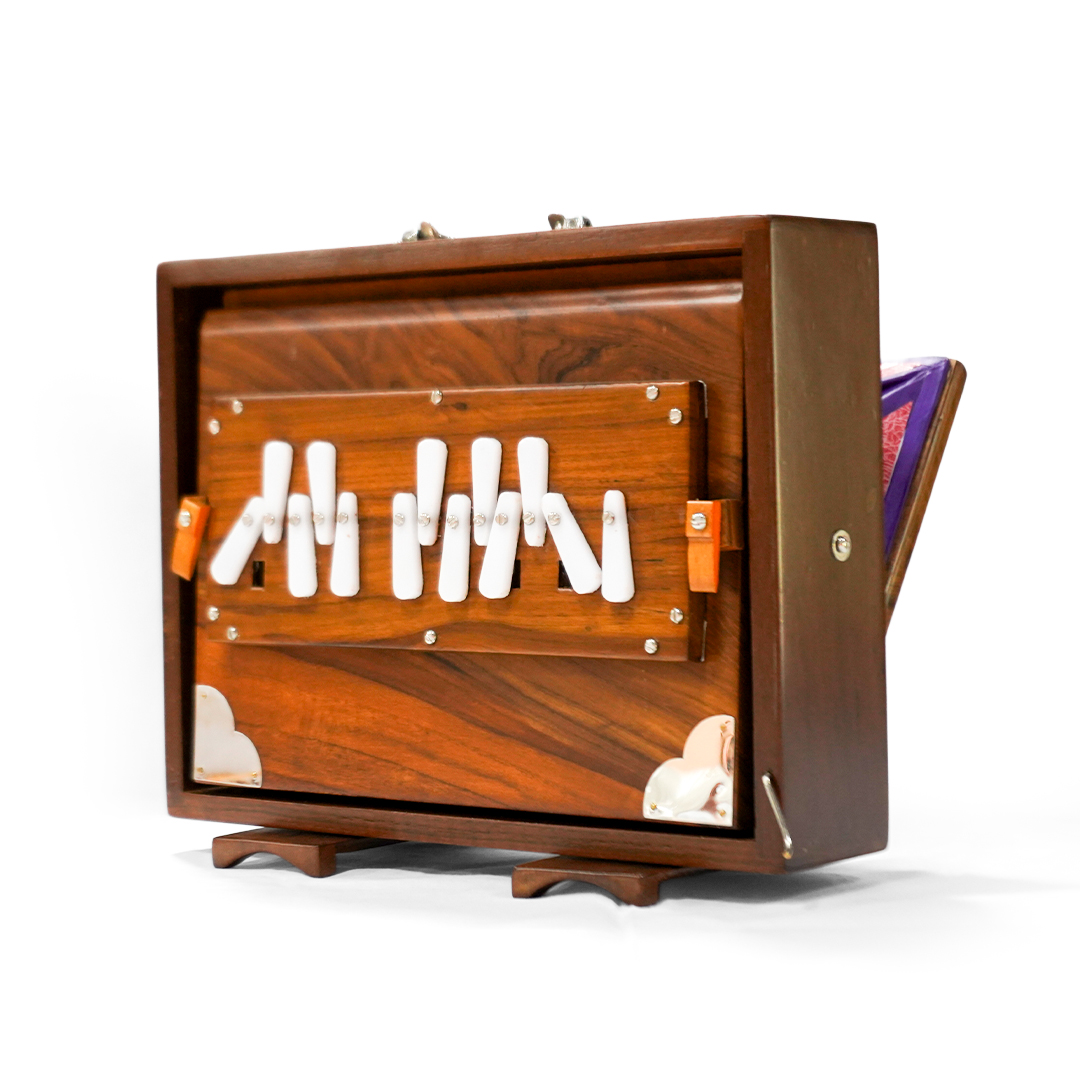 Travel Shruti Box 4