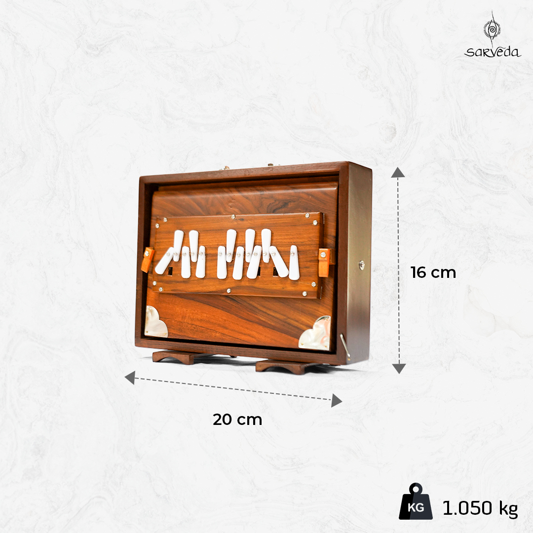 Travel Shruti Box 5