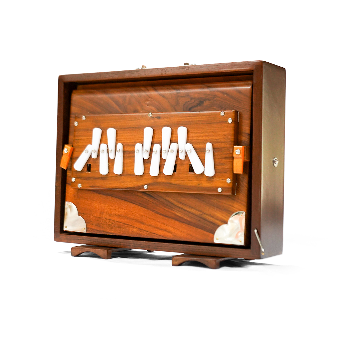Travel Shruti Box