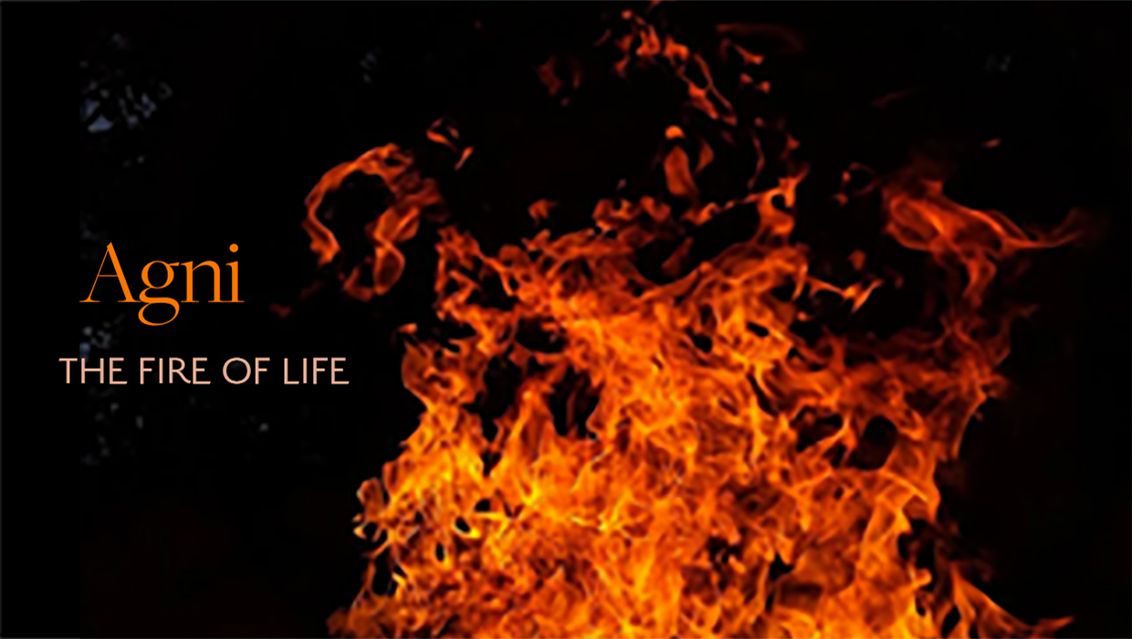 Agni: The Fire of Life