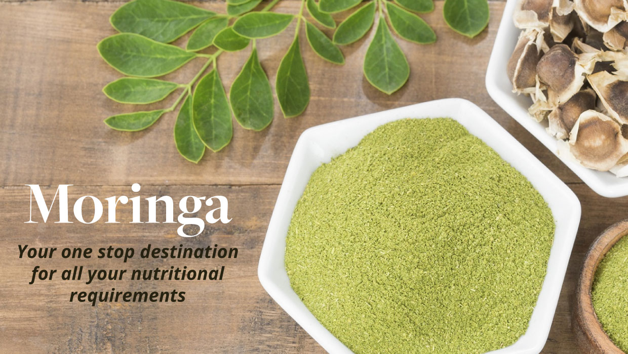 All About Moringa; Everything you need to know