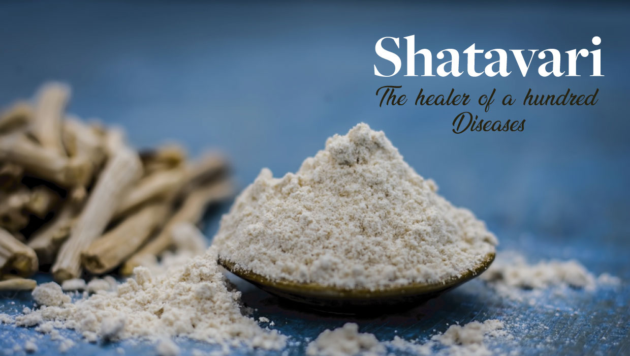 Shatavari- The Queen of Herbs