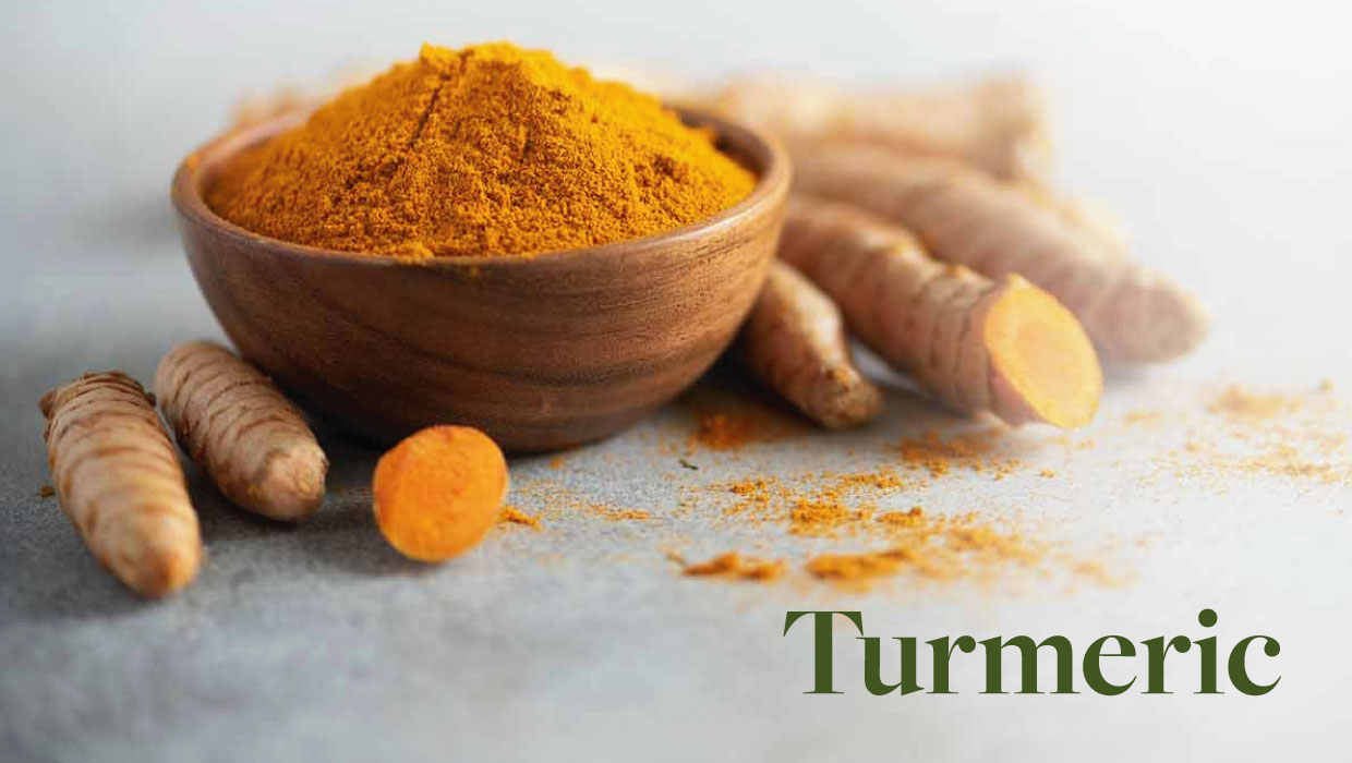 Turmeric- The root of happiness