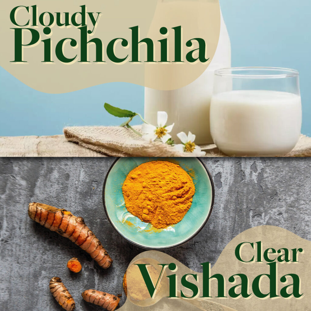 Pichchila-Vishada