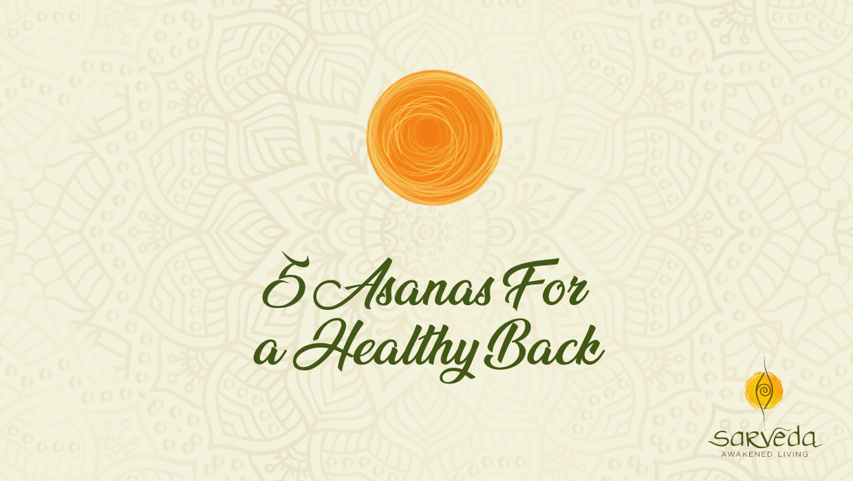 5 Yoga Asanas for a Healthy Back