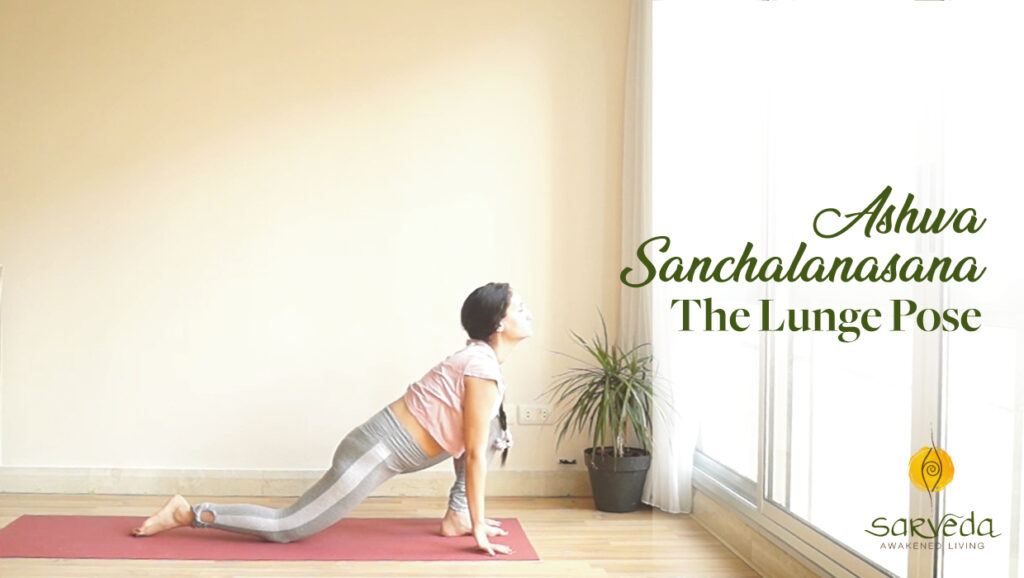 Ashwa Sanchalasana Surya namaskar