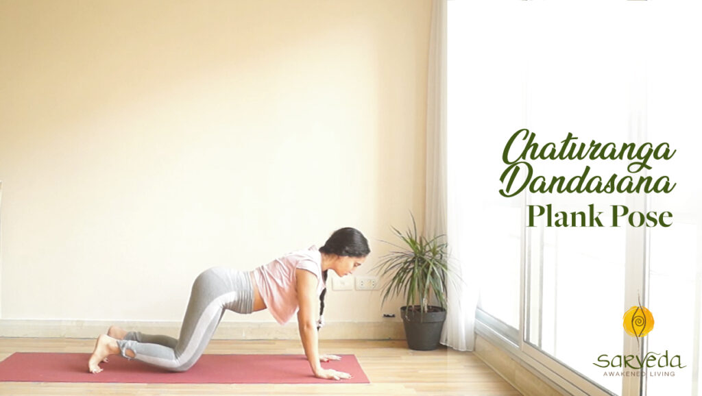 Chaturanga Dandasana Surya Namaskar