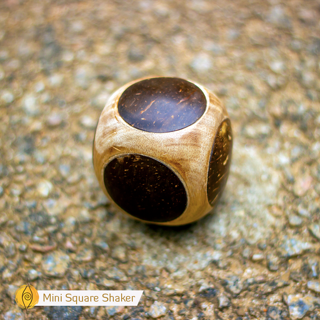 Mini Coconut Shakers - 3 Types