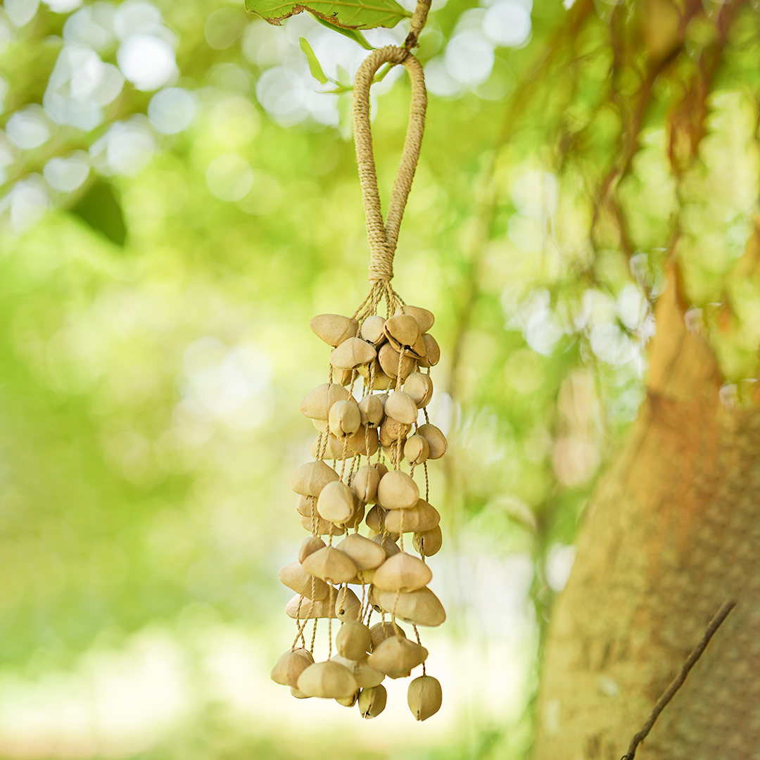 Kenari Seed Shell Shakers