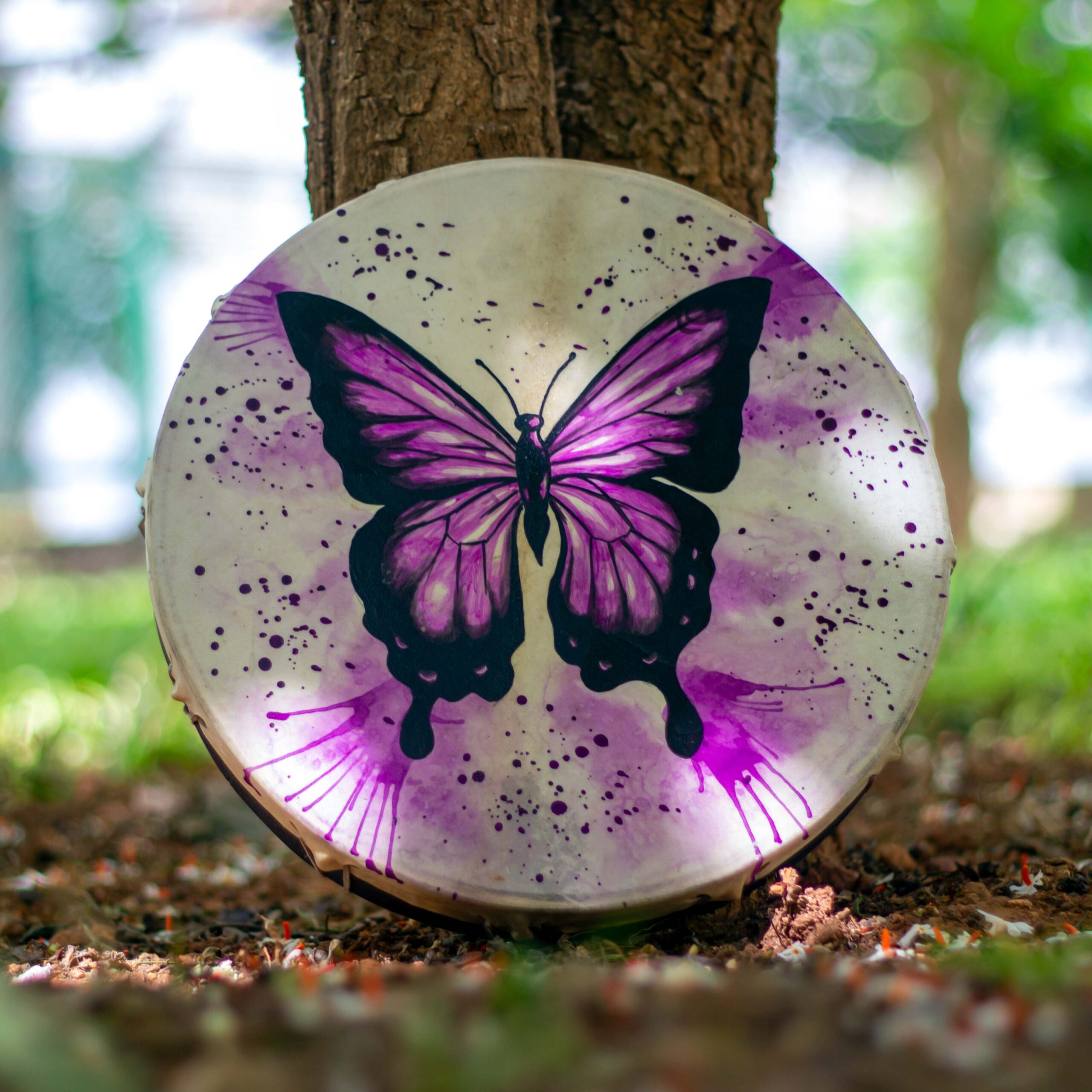Shamanic Drum